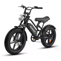 [EU DIRECT] MUKKPET Racer Elektrische Fiets 48V 18AH 250W Motor Aanbevolen Topsnelheid 25KM/U Cadanssensor Half Twist Ga