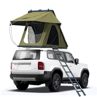 [EU Direct] NATURNEST Polaris Lite 2 3 Persoon PopUp Driehoek Daktent met Telecospische Ladder,Lichtgewicht Eenvoudige O