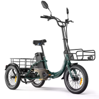 [EU DIRECT] Niloxer KA1 Elektrische Driewieler Vracht, 48V 23Ah Batterij, 500W Motor, Top Snelheid 25KM/U, Legeringen St