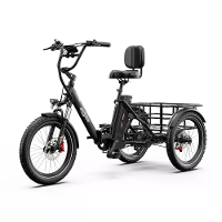 [EU Direct] Onesport OT03 PRO Elektrische Driewieler Vracht APP besturinge 48V 18Ah Batterij 500W Motor Topsnelheid 25KM