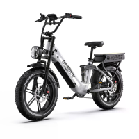 [EU Direct] ONESPORT OT08 PRO Elektrische Fiets 48V 18AH*2 Duale Batterijen 500W Motor Aanbevolen Top Snelheid 25KM/U 20