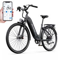 [EU Direct] Onesports OT05 PRO elektrische fiets, 36V 22.5Ah batterij, 250W motor, Topsnelheid 25KM/U, koppel sensor, du
