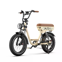 [EU DIRECT] Onesports W77 Elektrische Fiets 48V 18AH Batterij 250W Motoren Aanbevolen Topsnelheid 25KM/H 20inch Banden 8