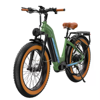 [EU Direct] OVIVO HYPER V6 Elektrische Fiets 48V 20AH Batterij 250W BAFANG Motor Aanbevolen Topsnelheid 25KM/U 20 inches