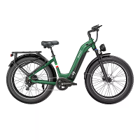 [EU DIRECT] OVIVO HYPER V6 PRO Elektrische Fiets 48V 20Ah Batterij 250W Motor 26 inch Banden 120 150KM Actieradius 100KG