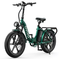 [EU DIRECT] OVIVO NEO C2 Elektrische Fiets 48V 18Ah Accu 250W Motor 20inch Banden 90 120KM Actieradius 100KG Max Laadver
