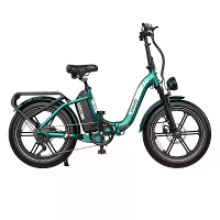 [EU DIRECT] OVIVO NEO C2 PRO Elektrische Fiets 48V 18Ah Batterij 250W Motor 20 inch Banden 90 120KM Actieradius 100KG Ma