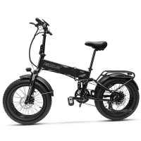 [EU DIRECT] Paselec PX6 Elektrische Fiets 48V 12Ah 500W (Piek 750W) Motor Aangeraden Maximale Snelheid 25KM/U 20x4.0 Vet