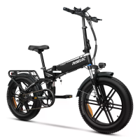 [EU DIRECT] Paselec PX6 Elektrische Fiets 48V 12Ah 750W (Piek 1500W) Motor Aanbevolen Topsnelheid 25KM/U 20x4.0 Vetbande
