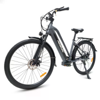 [EU DIRECT] Paselec TX10 Elektrische Fiets 48V 19,2Ah 250W Motor Topsnelheid 25KM/U 700x40C Band 100KM Bereik 125kg Maxi