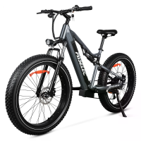 [EU DIRECT] Paselec TX19 PLUS elektrische fiets 48V 19.2Ah 500W (piek 1000W) motor Aanbevolen topsnelheid 25KM/U 26x4.0