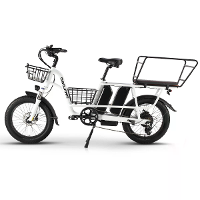 [EU DIRECT] PHILODO Reisfiets Elektrisch met Mandjes en Achterrek Plank 48V 17.5Ah Batterij 750W Motor 20 inch Banden 60