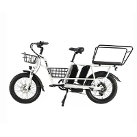 [EU DIRECT] PHILODO Reiziger Elektrische Fiets met Mand en Achterrek 48V 17,5Ah*2 Dubbele Batterijen 750W Motor 20 inch
