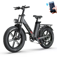 [EU DIRECT] PHNHOLUN C6 PRO Elektrische Fiets 48V 17AH Batterij 1000W Motor 20 inch Banden 50KM Bereik 150KG Max Lading