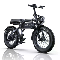 [EU DIRECT] PHNHOLUN C8 Pro Elektrische Fiets 48V 20AH Accu 1000W Motor 20inch Banden 65KM Max Kilometrage 150KG Max Gew