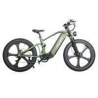 [EU Direct] PULUMA PE900 Elektrische Fiets 52V 20AH Batterij 500W*2 Dubbele Motoren Aanbevolen Topsnelheid 25KM/U Olie R