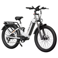 [EU DIRECT] PULUMA PE97 Electric Bike 48V 20Ah Battery 500W Motors 26*3.0Inch Tires 70 150KM Max Mileage 150KG Max Load