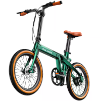 [EU Direct] PULUMA PT20 Elektrische fiets, ultralicht koolstofvezel frame, 36V 7Ah batterij, 250W motor piekvermogen, to