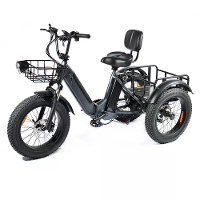 [EU Direct] PULUMA SL001 Elektrische Driewieler 48V 13.5*2 Duale Batterijen 500W*2 Duale Motor Aanbevolen Topsnelheid 25