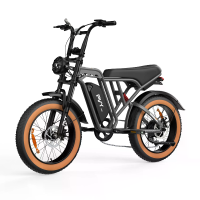 [EU DIRECT] PVY A20 Elektrieke Fiets 48V 20Ah Batterij 250W(Ontgrendeld 1000W) Motor Aanbevolen Topsnelheid 25KM/U 20*