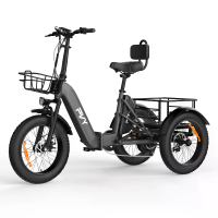 [EU DIRECT] PVY F20 Elektrische driewiel cargobike 48V 21Ah batterij 250W (Ontgrendeld 1000W) motorAanbevolen topsnelhei