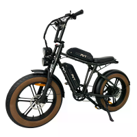 [EU DIRECT] PVY X20 Elektrische Fiets 48V 15Ah+15Ah Dubbele Batterijen 1000W Motor 20 inch Banden 100 200KM Max Bereik 1
