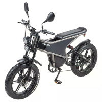[EU DIRECT] RANDRIDE DM711 Electric Bike 48V 20Ah 1000W*2 Dual Motor 20 Inch Tires Electric Bike 50 60KM Mileage Disc Br