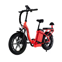 RATTAN LF ULTRA Elektrische Fiets 48V 40.5AH Batterij 750W Motor Aanbevolen Topsnelheid 25KM/H 20 Inch Band Elektrische