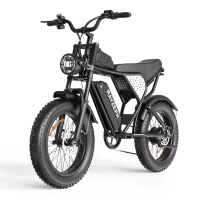 [EU Direct] RAYZEPH C20 Lite Elektrische Fiets, 48V 15.6AH Batterij, 1500W Motor, Aanbevolen Topsnelheid 25KM/U, Voor  &