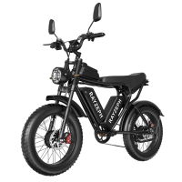 [EU DIRECT] RAYZEPH PRO30 Elektrische fiets 52V 20AH*2 dubbele accu's 1000W*2 dubbele motoren Aanbevolen maximale snelhe