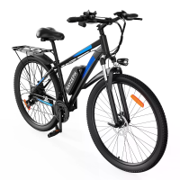 [EU Direct] RAYZEPH S29 PRO Elektrische Fiets, 48V 21AH Batterij, 1000W Motor, Aanbevolen 25KM/U, SHIMANO 21 Snelheden,