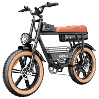 [EU Direct] Ridstar CR20 Elektrische Fiets 48V 20AH Accu 1000W Motor 20 inch Banden 50 70KM Maximale Actieradius 150KG M