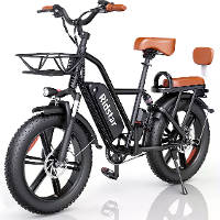[EU Direct] Ridstar FM001 Elektrische Fiets 48V 15AH Accu 1000W Motor 20*4.0Inch Banden 40 70KM Max Bereik 150KG Max Las