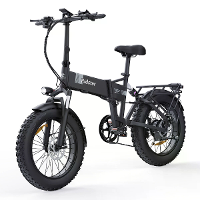 [EU DIRECT] Ridstar H20 Elektrische Fiets 48V 15AH Accu 1000W Motor Aanbevolen Topsnelheid 25KM/H 20*4.0Inch Banden 60 8