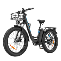 [EU Direct] Ridstar MN26 elektrische fiets, 48 20Ah batterij, 750W motor, 1000W piekvermogen, aanbevolen topsnelheid 25