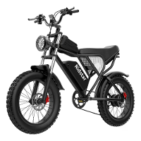 [EU DIRECT] Ridstar Q20 Elektrische Fiets 48V 20AH Accu 1000W Motor Aanbevolen Topsnelheid 25KM/H 20 inch Banden 70 90KM