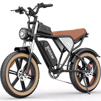 [EU DIRECT] Ridstar Q20 Elektrische Fiets 48V 20AH Batterij 1000W Motor 20inch Banden 50 120KM Maximaal Bereik 150KG Max