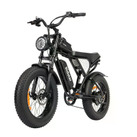[EU DIRECT] Ridstar Q20 Mini Elektrische Fiets 48V 15AH Batterij 1000W Motor 20inch Banden 60 80KM Maximale Afstand 150K