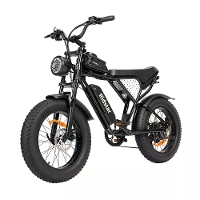 [EU DIRECT] Ridstar Q20 Mini Elektrische Fiets 48V 15AH batterij 1000W motor aanbevolen topsnelheid 25KM/H 20inch banden