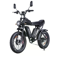 [EU DIRECT] Ridstar Q20 Pro Elektrische Fiets 52V 20AH*2 Dubbele Batterijen 1000W*2 Dubbele Motoren 20inch Banden 150 18
