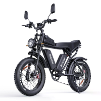 [EU DIRECT] Ridstar Q20 Pro Elektrische Fiets 52V 20AH*2 Dubbele Batterijen 1000W*2 Dubbele Motoren Aanbevolen Maximale