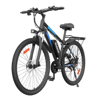 [EU DIRECT] Ridstar S29 PRO Elektrische Fiets 48V 15.6AH Batterij 1000W Motor 29inch Banden 50 60KM Maximaal Bereik 150K