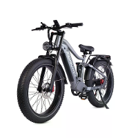 [EU Direct] RZOGUWEX S7 Elektrische Fiets 48V 25AH Batterij 1000W Motor Aanbevolen Topsnelheid 25KM/H 26 inch Banden 50 