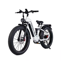 [EU DIRECT] RZOGUWEX S9 Elektrische Fiets 48V 25Ah Accu 1000W Motor Aanbevolen Topsnelheid 25KM/H 26inch Banden 40 60KM