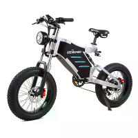[EU DIRECT] RZOGUWEX X5 Elektrische Fiets 48V 25AH Batterij 1000W Motor 20inch Banden 50 60KM Max Kilometerstand 200KG M