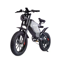 [EU Direct] RZOGUWEX X5S Elektrische Fiets 48V 25AH Batterij 1000W Motor Aanbevolen Topsnelheid 25KM/H 20 inch banden 50