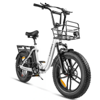 SAMEBIKE C05 PRO Elektrische Fiets 36V 13AH 500W Motor Aanbevolen Topsnelheid 25KM/H Elektrische Fiets 20 Inch 70KM Acti