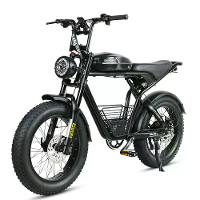 [EU DIRECT] SAMEBIKE M20 I FT 48V 18AH 1000W Elektrische fiets 20*4,0 inch 95 100KM Kilometerbereik Max Laadvermogen 150