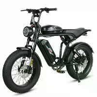 [EU Direct] SAMEBIKE M20 II FT Elektrische Fiets 48V 16AH+16AH Dual Batterij 1200W Motor Elektrische Fiets 20 Inch 110 2