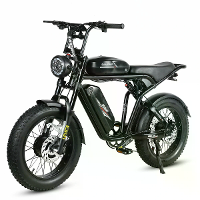 [EU Direct] SAMEBIKE M20 III FT Elektrische fiets 48V 16AH+16AH Dubbele batterij 2000W Dubbele motor Elektrische fiets 2